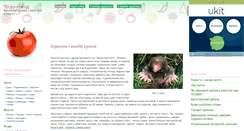 Desktop Screenshot of divo-gorod.narod.ru