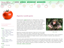 Tablet Screenshot of divo-gorod.narod.ru