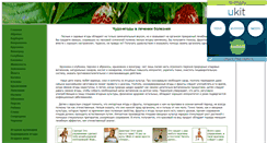 Desktop Screenshot of chudo-yagoda.narod.ru