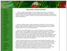 Tablet Screenshot of chudo-yagoda.narod.ru