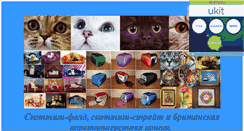 Desktop Screenshot of cat-fold.narod.ru