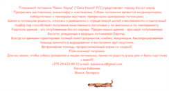 Desktop Screenshot of basset-hound.narod.ru
