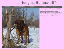 Tablet Screenshot of enigma-bulls.narod.ru