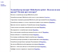 Tablet Screenshot of helicobacterpylory.narod.ru