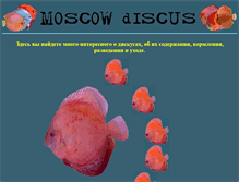 Tablet Screenshot of mdiscus.narod.ru