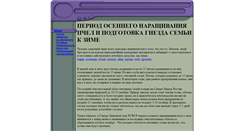 Desktop Screenshot of beeperiod.narod.ru