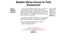 Tablet Screenshot of edione.narod.ru