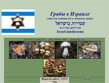 Tablet Screenshot of gribisrael.narod.ru