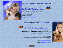 Tablet Screenshot of goldenfalcon2007.narod.ru