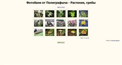 Desktop Screenshot of polygr-plants.narod.ru