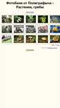 Mobile Screenshot of polygr-plants.narod.ru