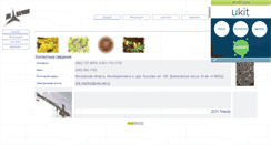 Desktop Screenshot of dok-marfino.narod.ru