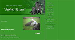 Desktop Screenshot of molosstumen.narod.ru
