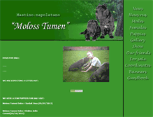 Tablet Screenshot of molosstumen.narod.ru
