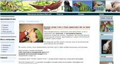 Desktop Screenshot of bigparrots.narod.ru