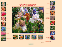 Tablet Screenshot of irisesphoto.narod.ru