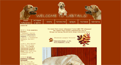 Desktop Screenshot of labtails.narod.ru
