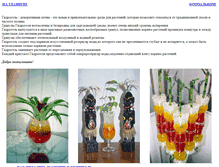 Tablet Screenshot of hydro-gel.narod.ru