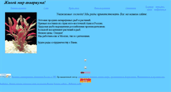 Desktop Screenshot of akvo-mir1.narod.ru