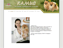 Tablet Screenshot of kamis-spitz.narod.ru