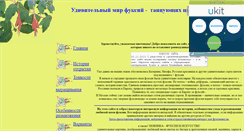 Desktop Screenshot of fuchsia2007.narod.ru