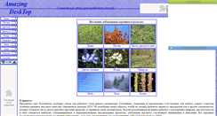 Desktop Screenshot of amazingdesktop.narod.ru