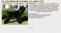 Desktop Screenshot of gavrilabrt.narod.ru