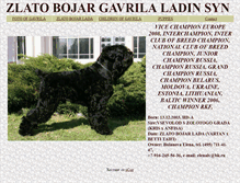 Tablet Screenshot of gavrilabrt.narod.ru