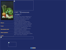 Tablet Screenshot of lanscompany.narod.ru