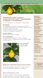 Mobile Screenshot of limon-room.narod.ru