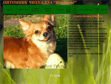 Tablet Screenshot of dog-chihyahya.narod.ru