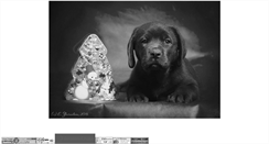 Desktop Screenshot of labroucha.narod.ru