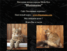 Tablet Screenshot of bluesmaine.narod.ru