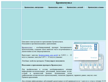 Tablet Screenshot of bronhomunal.narod.ru